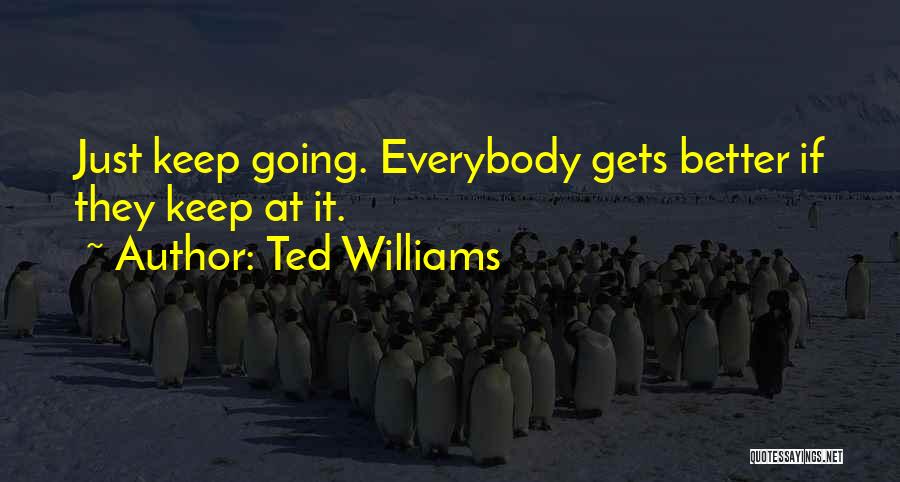Inspirational It Gets Better Quotes By Ted Williams