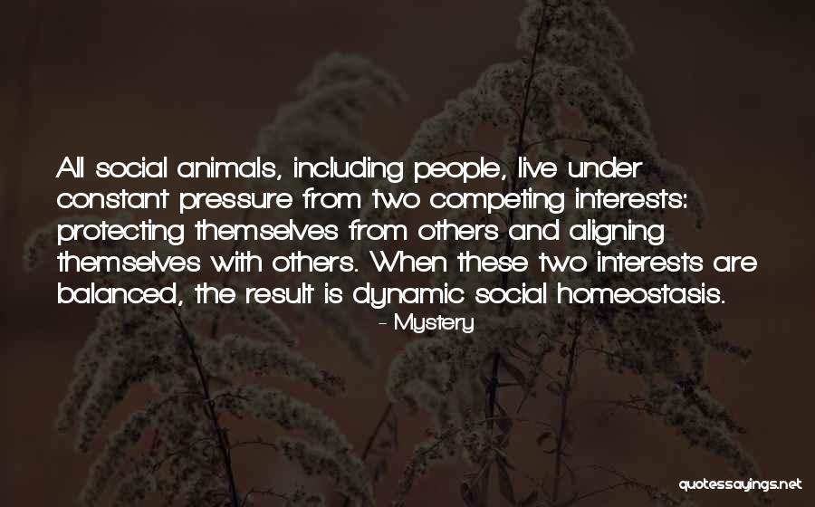 Inspirational Italian Quotes By Mystery Inspirational Italian Quotes By Mystery