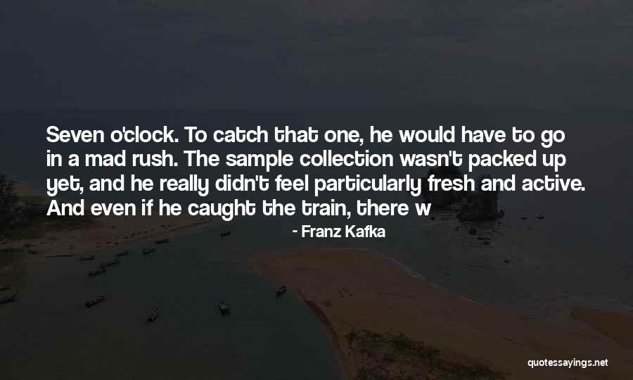 Inspirational Ladybug Quotes By Franz Kafka
