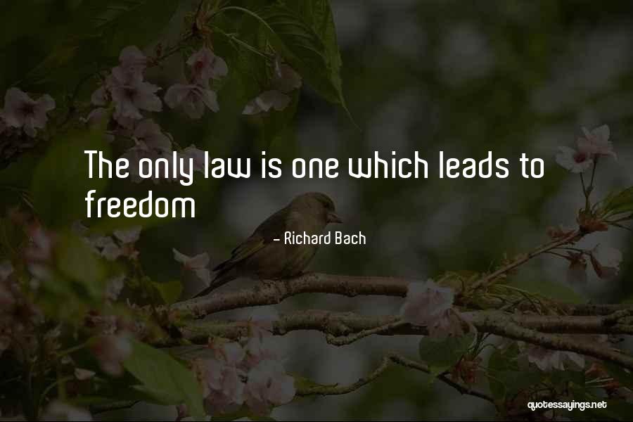 Inspirational Law Quotes By Richard Bach