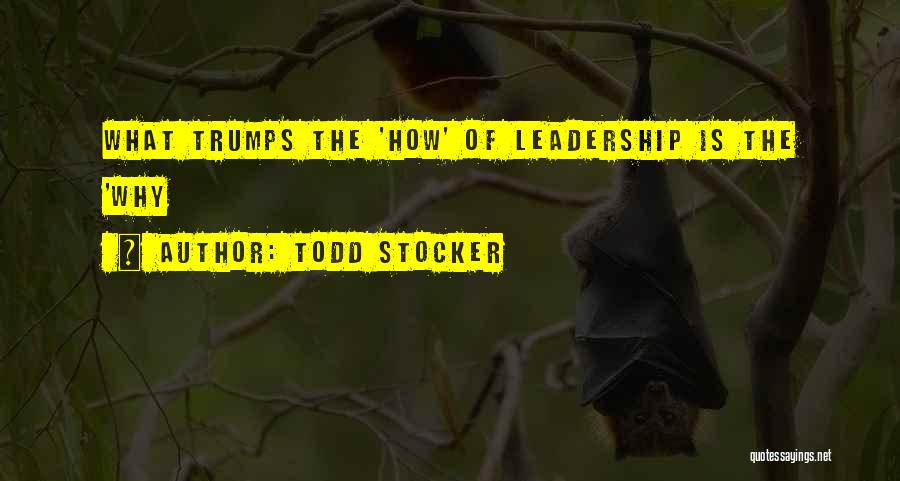 Inspirational Leadership Development Quotes By Todd Stocker