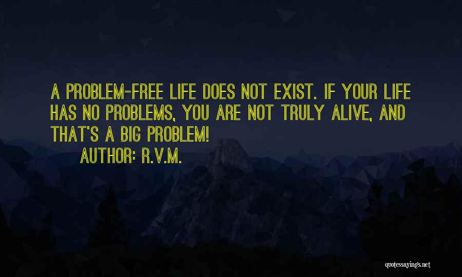 Inspirational Life Problem Quotes By R.v.m.