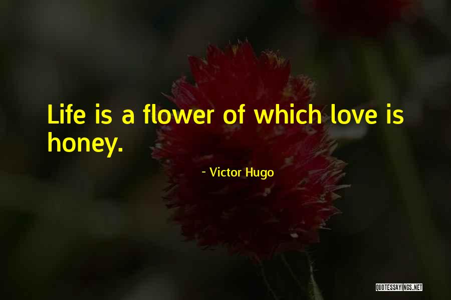 Inspirational Mathematics Quotes By Victor Hugo Inspirational Mathematics Quotes By Victor Hugo