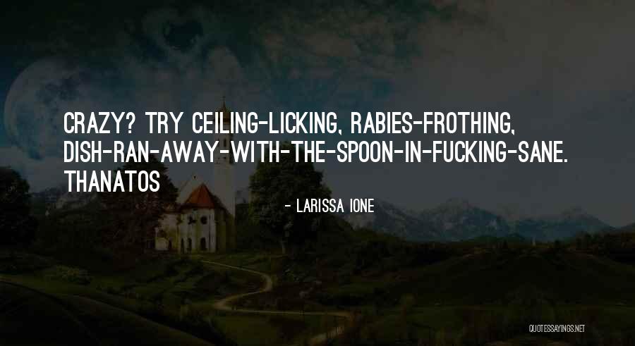 Inspirational Mountaineer Quotes By Larissa Ione Inspirational Mountaineer Quotes By Larissa Ione
