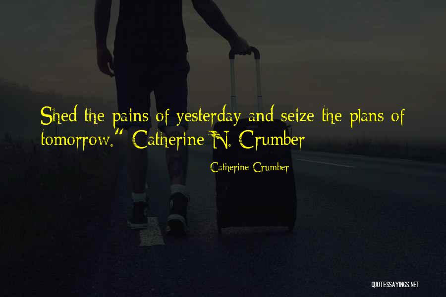 Inspirational Novel Quotes By Catherine Crumber Inspirational Novel Quotes By Catherine Crumber
