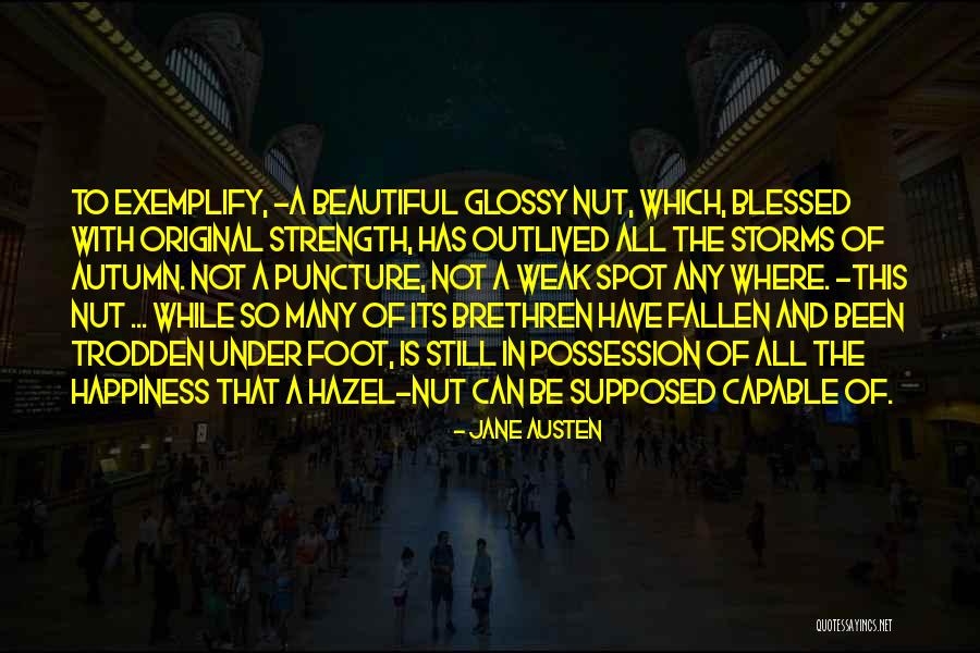 Inspirational Nut Quotes By Jane Austen Inspirational Nut Quotes By Jane Austen