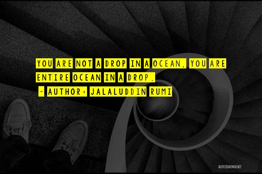 Inspirational Ocean Quotes By Jalaluddin Rumi