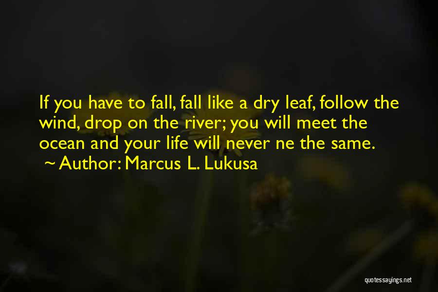 Inspirational Ocean Quotes By Marcus L. Lukusa