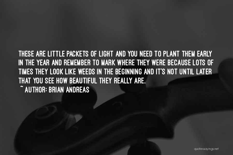 Inspirational Plant Quotes By Brian Andreas