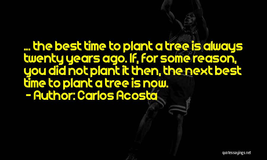 Inspirational Plant Quotes By Carlos Acosta