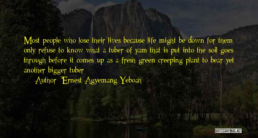 Inspirational Plant Quotes By Ernest Agyemang Yeboah