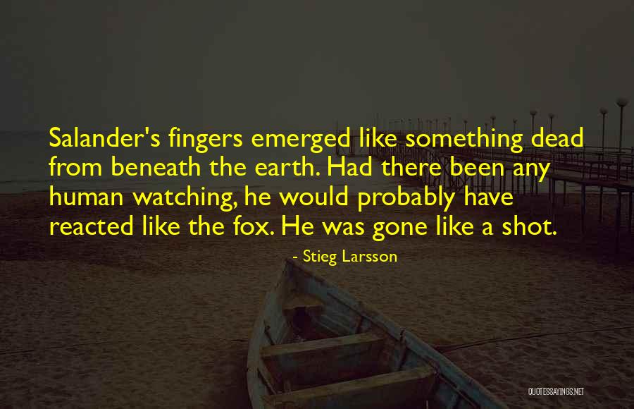 Inspirational Preschool Quotes By Stieg Larsson