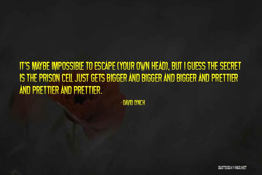 Inspirational Prison Quotes By David Lynch