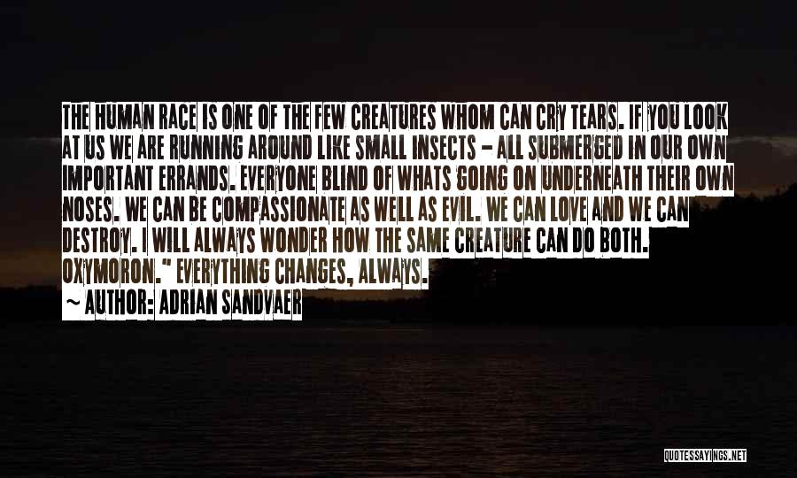 Inspirational Race Quotes By Adrian Sandvaer