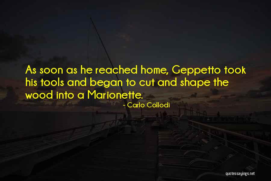 Inspirational Rdj Quotes By Carlo Collodi Inspirational Rdj Quotes By Carlo Collodi