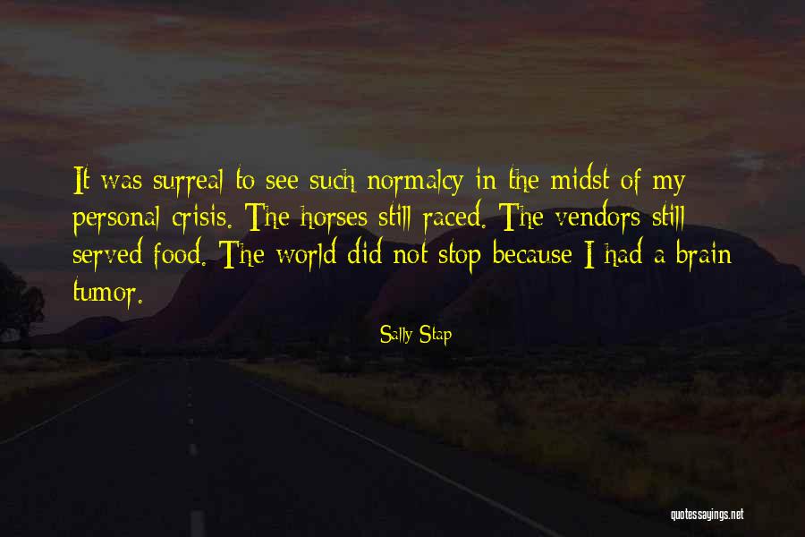 Inspirational Recovery Quotes By Sally Stap Inspirational Recovery Quotes By Sally Stap