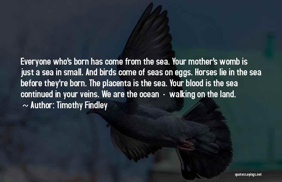 Inspirational Sea Quotes By Timothy Findley