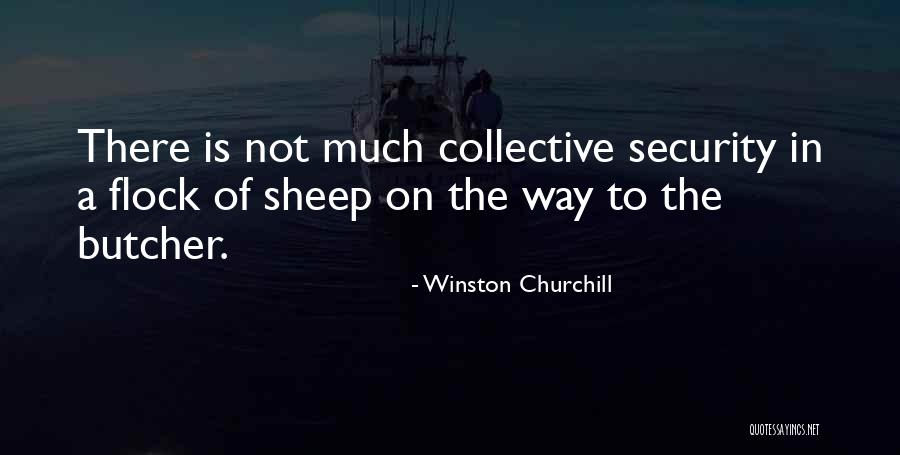 Inspirational Shark Quotes By Winston Churchill Inspirational Shark Quotes By Winston Churchill