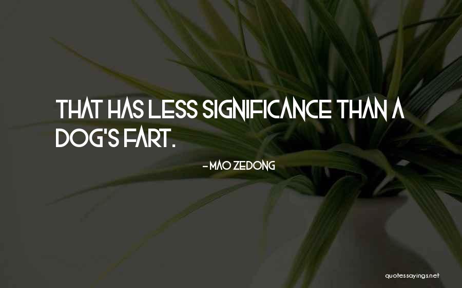 Inspirational Skydiving Quotes By Mao Zedong Inspirational Skydiving Quotes By Mao Zedong