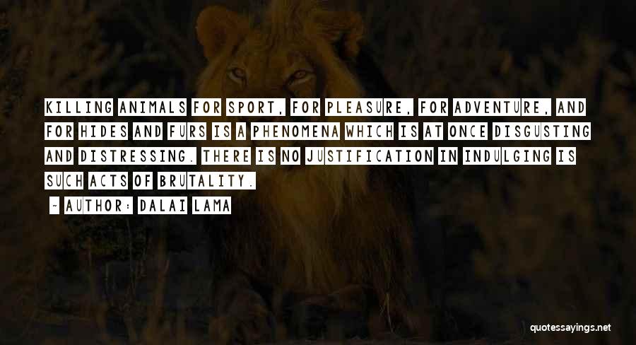 Inspirational Sport Quotes By Dalai Lama