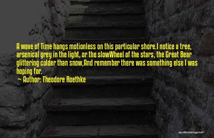 Inspirational Star Quotes By Theodore Roethke