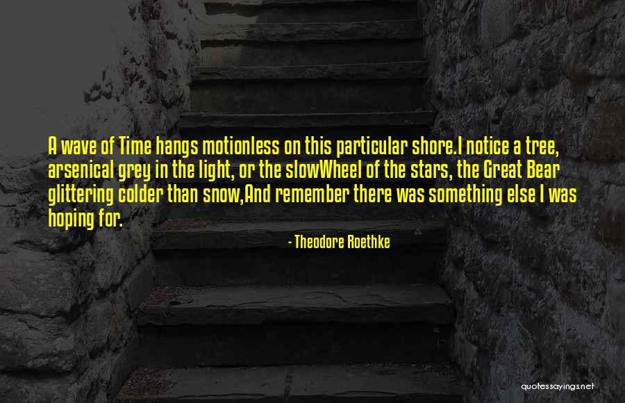 Inspirational Star Quotes By Theodore Roethke