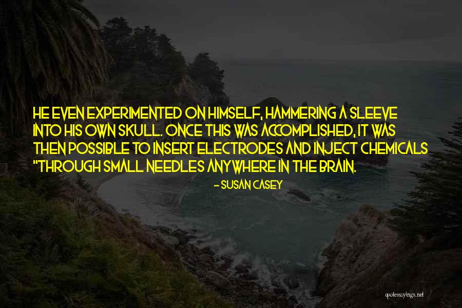 Inspirational Taglines Quotes By Susan Casey Inspirational Taglines Quotes By Susan Casey
