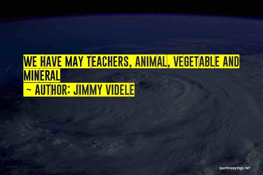 Inspirational Teachers Quotes By Jimmy Videle