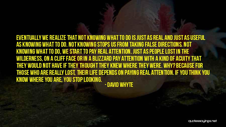 Inspirational Thinking Quotes By David Whyte