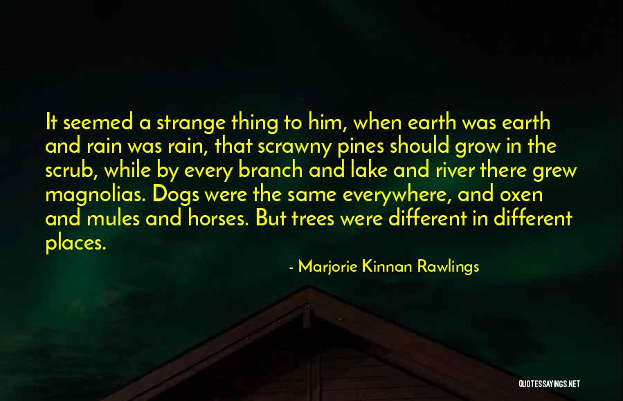 Inspirational Tractor Quotes By Marjorie Kinnan Rawlings Inspirational Tractor Quotes By Marjorie Kinnan Rawlings