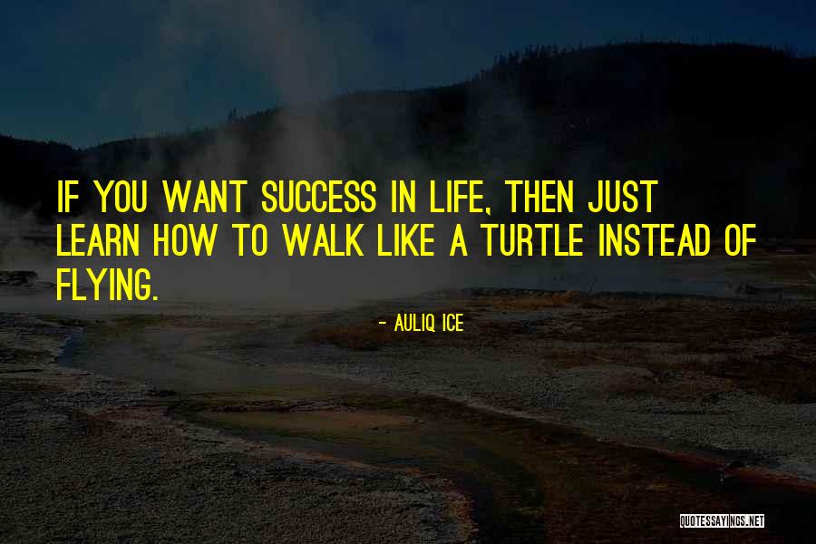Inspirational Turtle Quotes By Auliq Ice Inspirational Turtle Quotes By Auliq Ice
