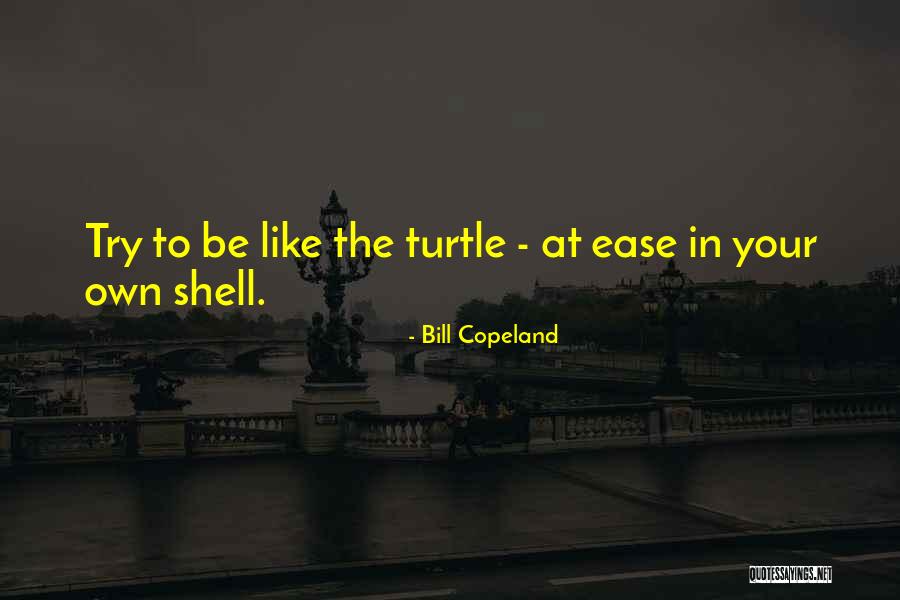 Inspirational Turtle Quotes By Bill Copeland Inspirational Turtle Quotes By Bill Copeland