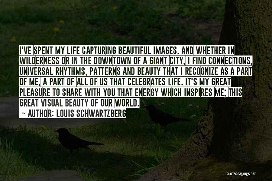Inspires Me Quotes By Louis Schwartzberg