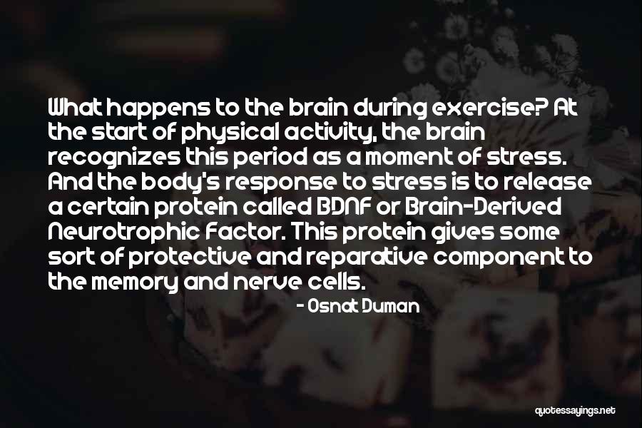 Inspiring Usa Quotes By Osnat Duman Inspiring Usa Quotes By Osnat Duman