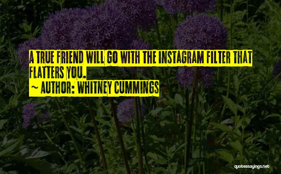Instagram Filter Quotes By Whitney Cummings
