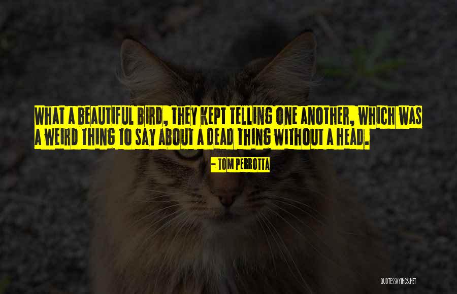 Instagram Friday Night Quotes By Tom Perrotta Instagram Friday Night Quotes By Tom Perrotta