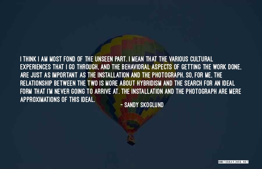 Installation Quotes By Sandy Skoglund Installation Quotes By Sandy Skoglund