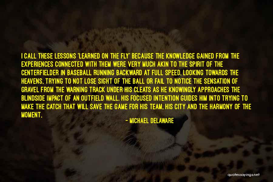 Instant Success Quotes By Michael Delaware