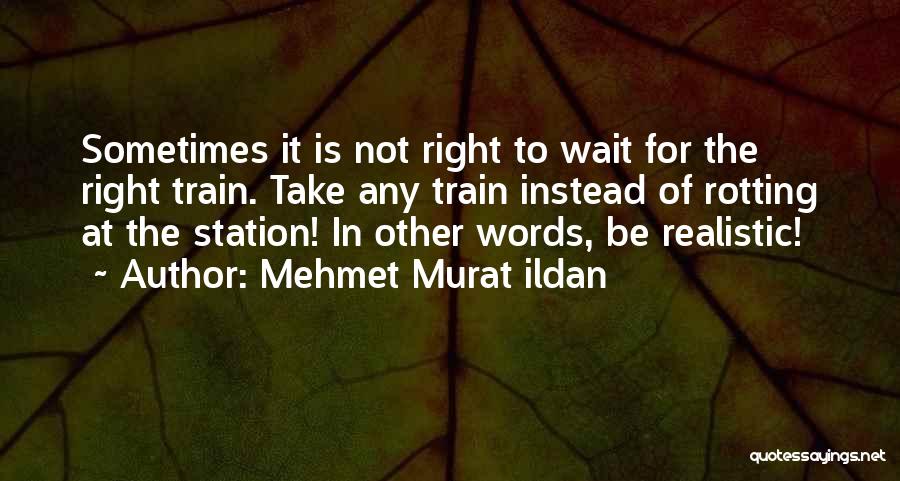 Instead Of Waiting Quotes By Mehmet Murat Ildan