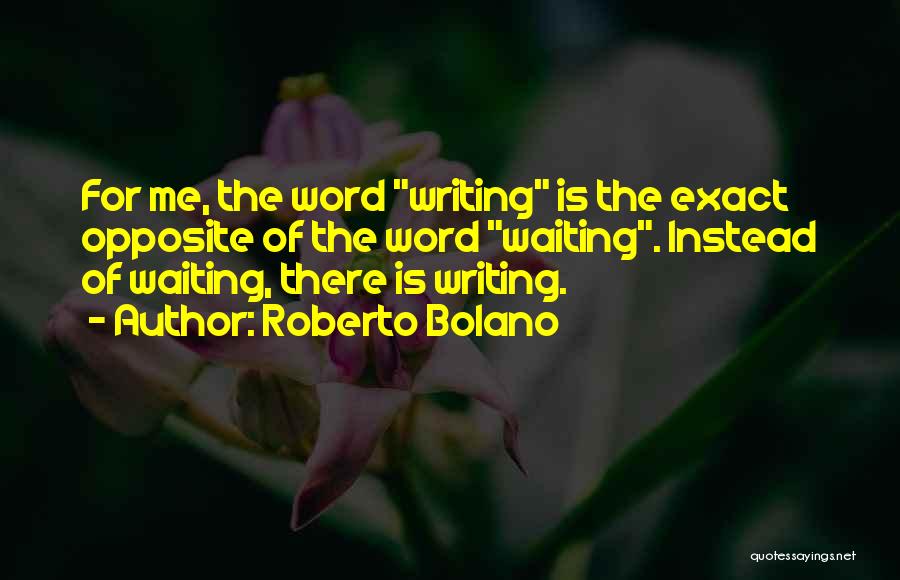 Instead Of Waiting Quotes By Roberto Bolano