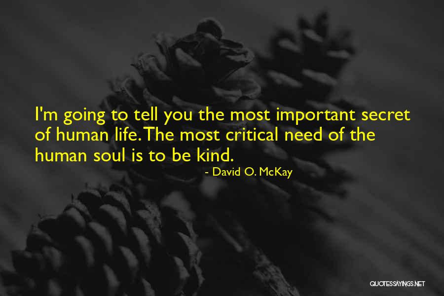 Instinctuality Quotes By David O. McKay Instinctuality Quotes By David O. McKay