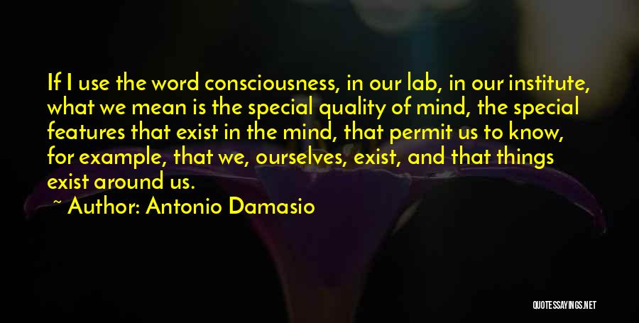 Institute Quotes By Antonio Damasio