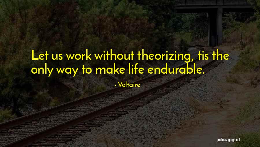 Instructional Design Quotes By Voltaire