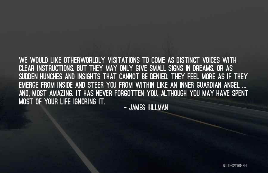 Instructions In Life Quotes By James Hillman