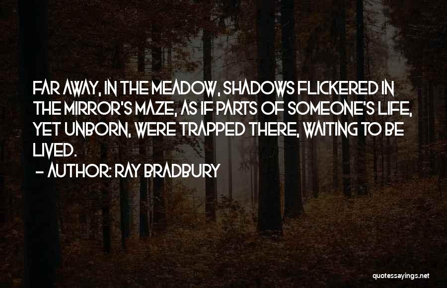 Instructions Not Included Famous Quotes By Ray Bradbury