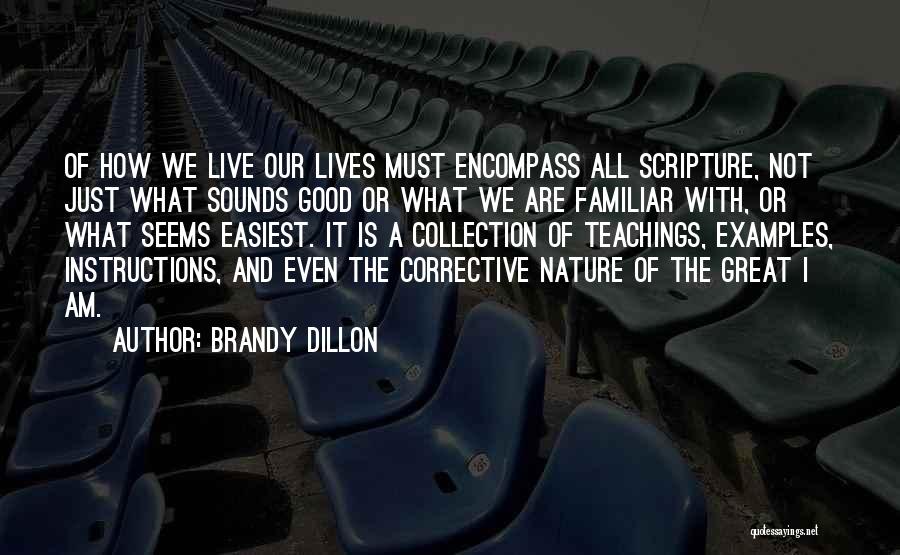 Instructions Not Quotes By Brandy Dillon