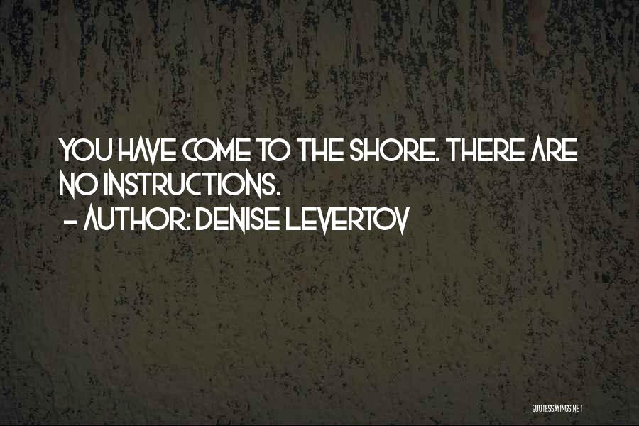 Instructions Quotes By Denise Levertov