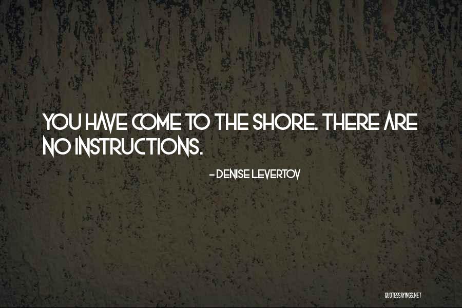 Instructions Quotes By Denise Levertov Instructions Quotes By Denise Levertov