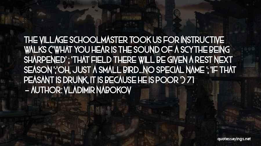 Instructive Quotes By Vladimir Nabokov