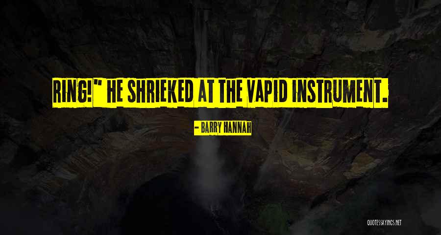 Instrument The Quotes By Barry Hannah